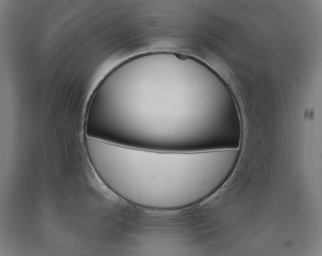 X0000093141296200709261049