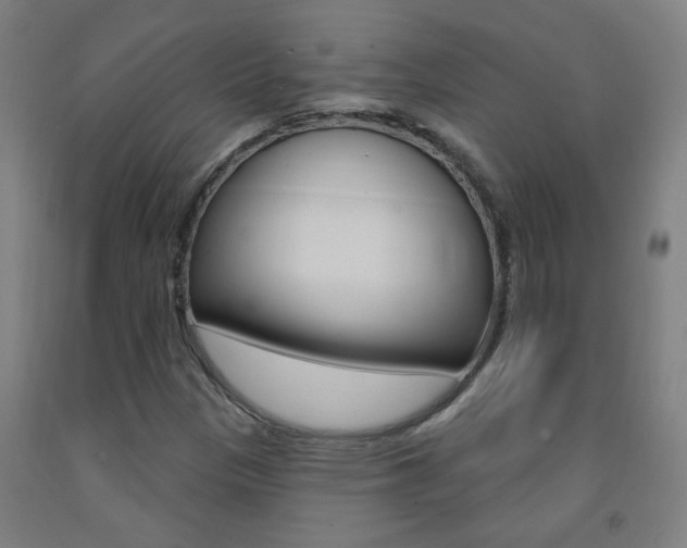 X0000093141305200709261049