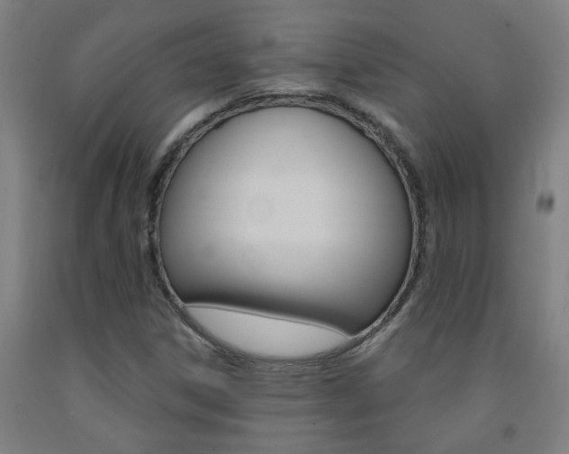 X0000093141306200709261049