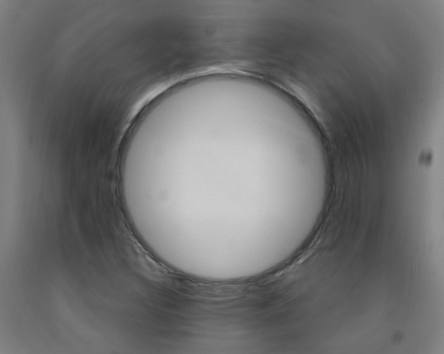 X0000093141308200709261049