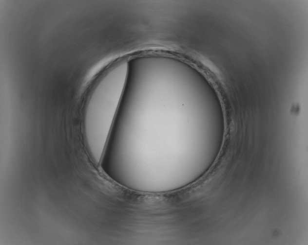 X0000093141310200709261049