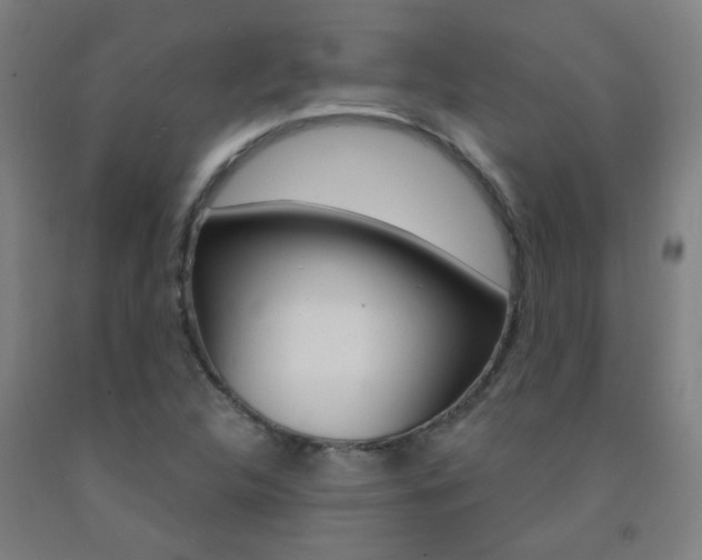 X0000093141312200709261049