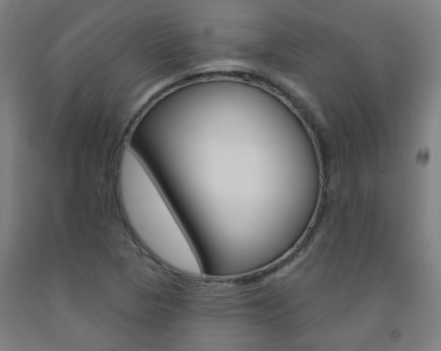 X0000093141313200709261049