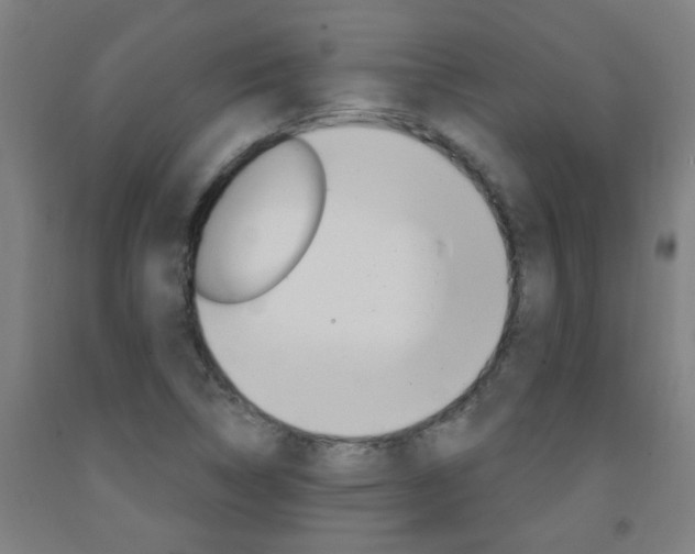 X0000093141314200709261049