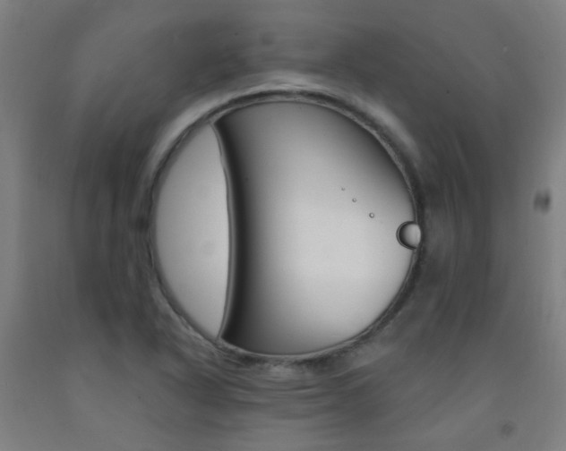 X0000093141318200709261049