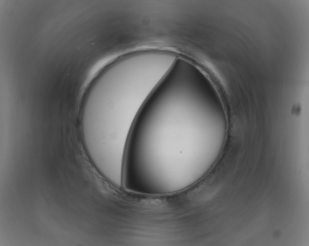 X0000093141320200709261049