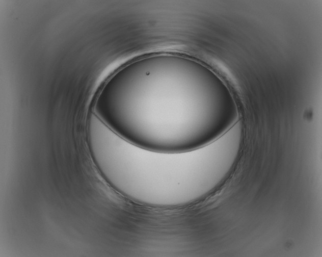 X0000093141324200709261049