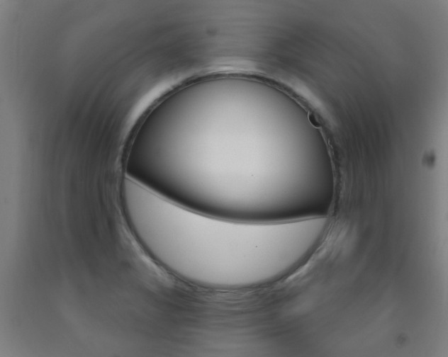 X0000093141325200709261049