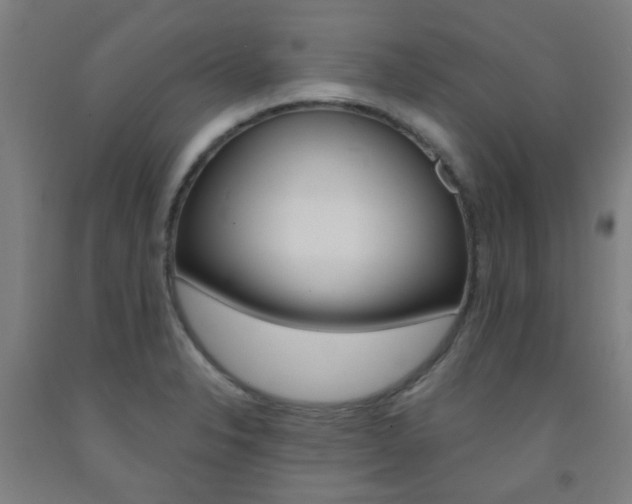 X0000093141326200709261049