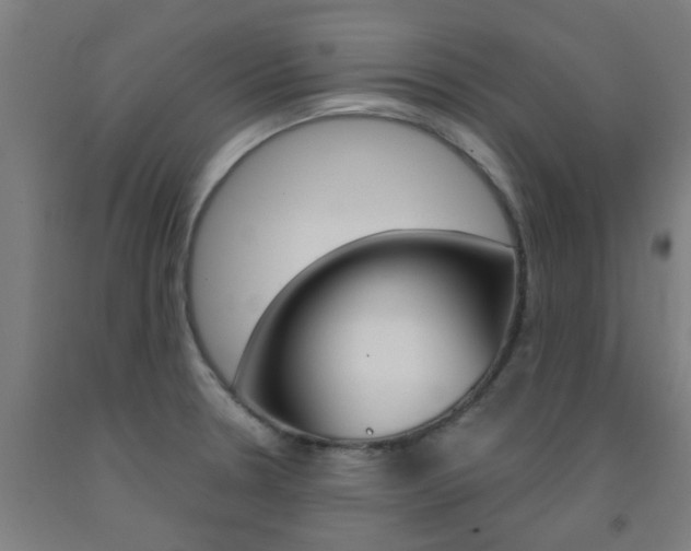 X0000093141330200709261049