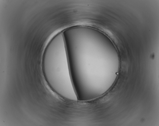 X0000093141331200709261049
