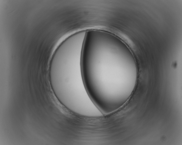 X0000093141332200709261049