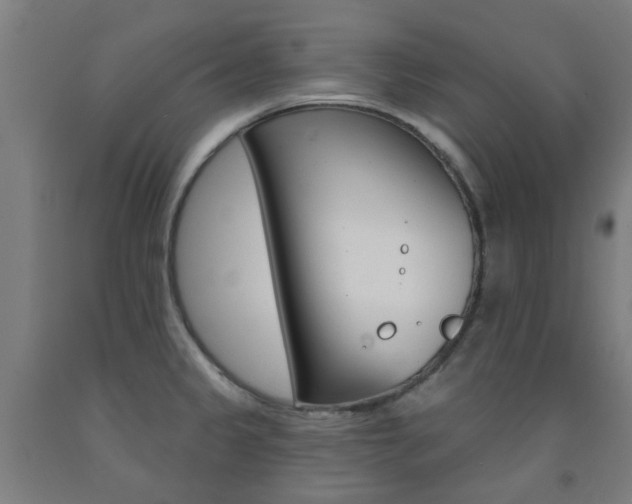 X0000093141333200709261049