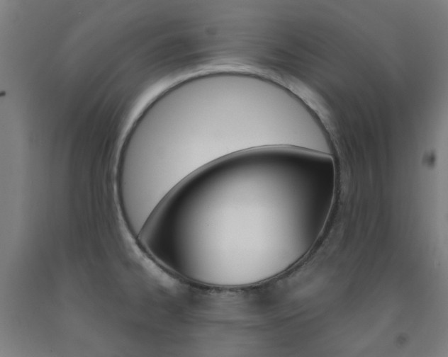 X0000093141334200709261049