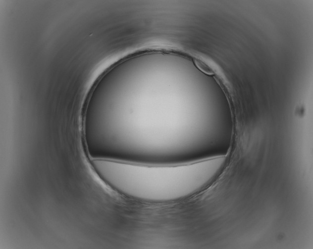 X0000093141335200709261049