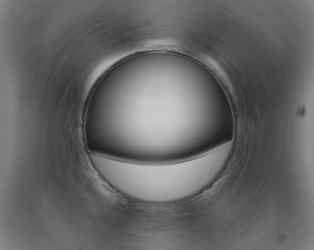 X0000093141336200709261049