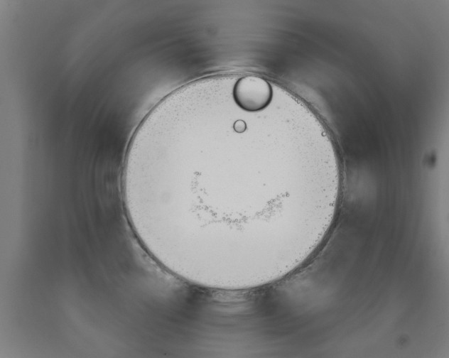 X0000093141338200709261049