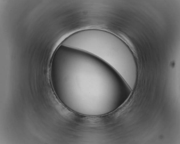 X0000093141340200709261049