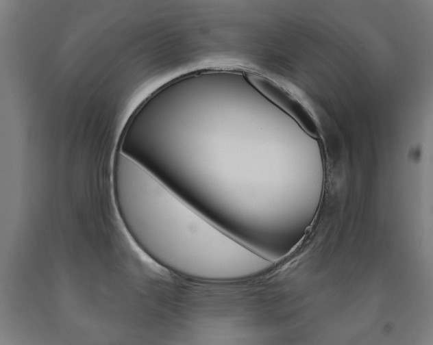 X0000093141343200709261049