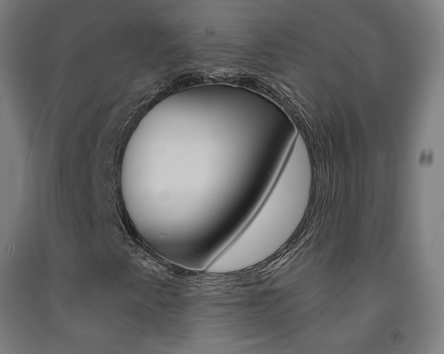 X0000093141345200709261049