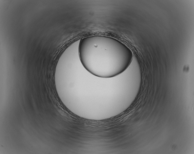 X0000093141348200709261049