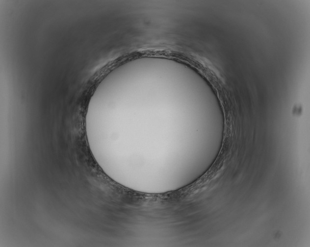 X0000093141350200709261049