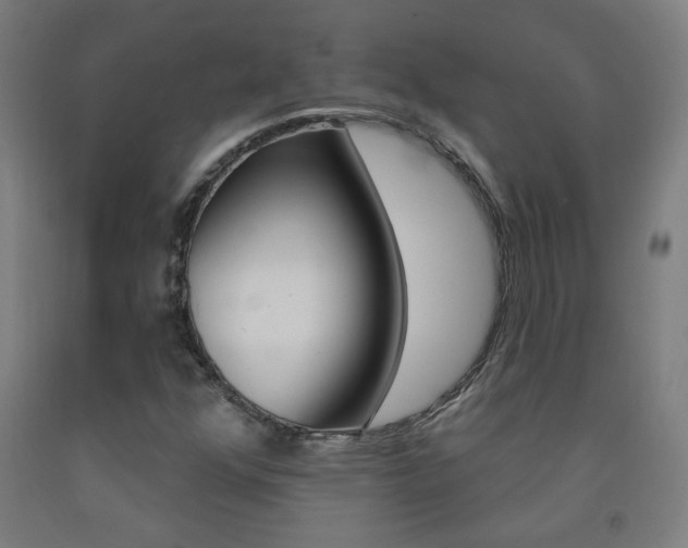 X0000093141352200709261049