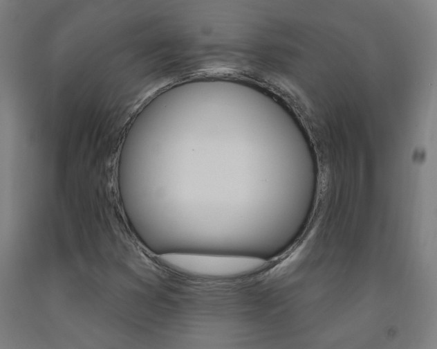 X0000093141353200709261049