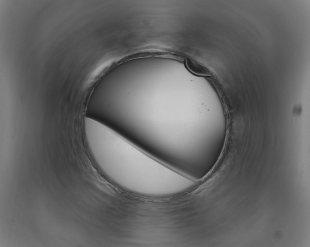 X0000093141355200709261049