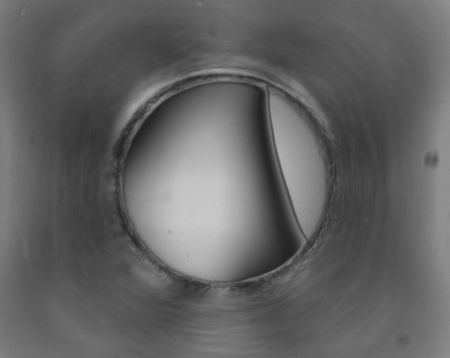 X0000093141360200709261049