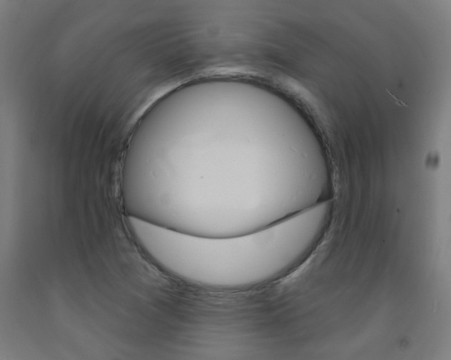 X0000093141361200709261049