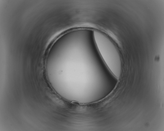 X0000093141364200709261048