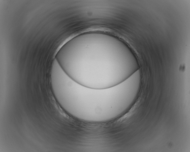 X0000093141369200709261048