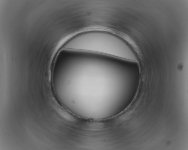 X0000093141372200709261048