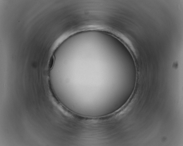 X0000093141373200709261048