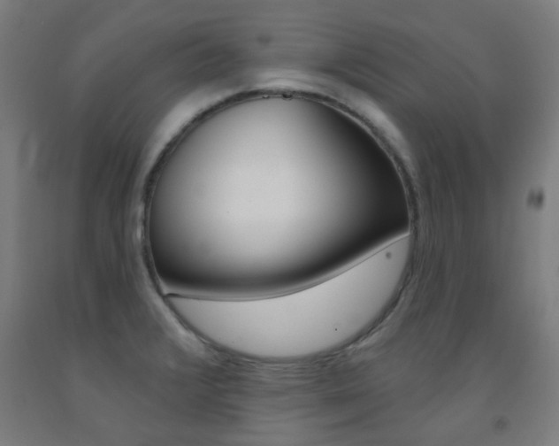 X0000093141376200709261048