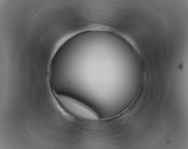 X0000093141379200709261048