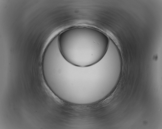 X0000093141384200709261048