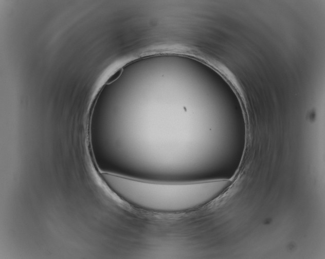 X0000093141389200709261048
