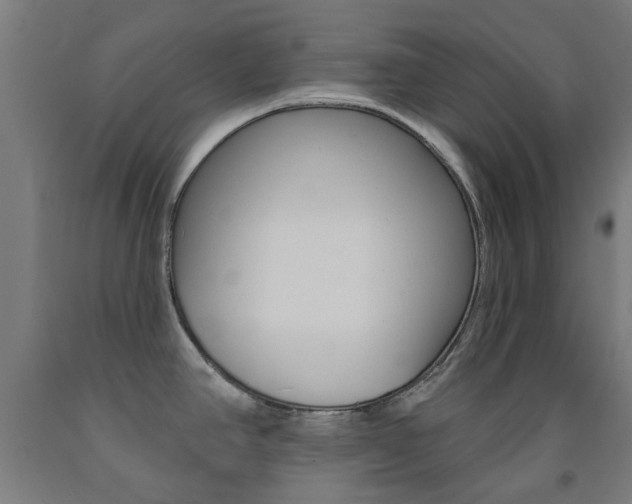 X0000093141390200709261048