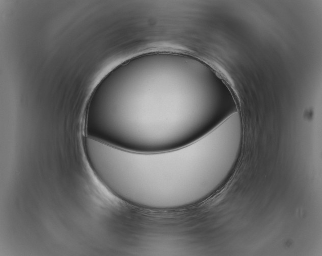 X0000093141391200709261048