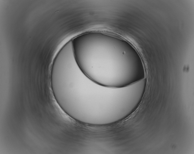 X0000093141392200709261048