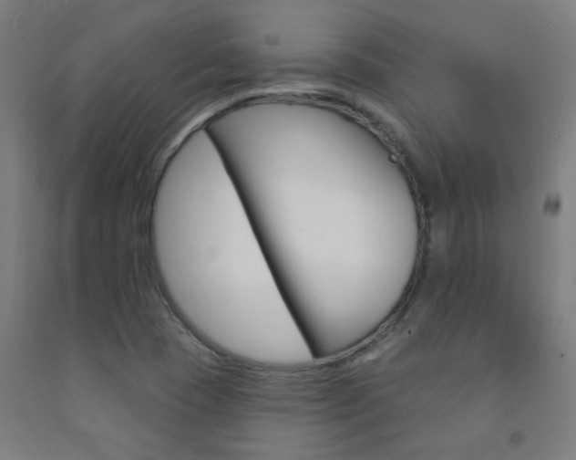 X0000093141409200709261048