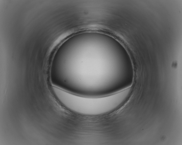X0000093141410200709261048