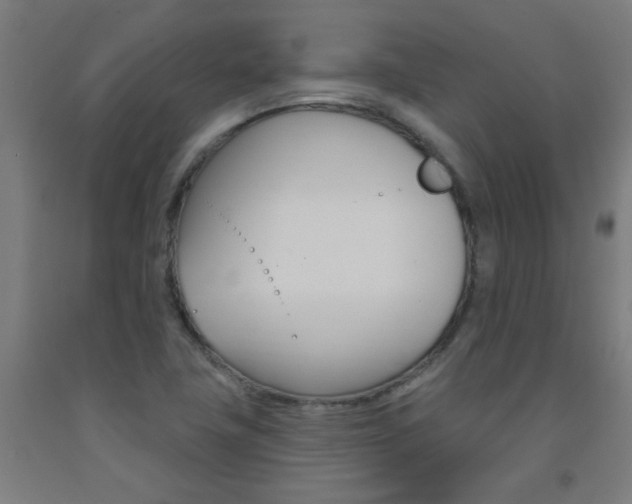 X0000093141411200709261048
