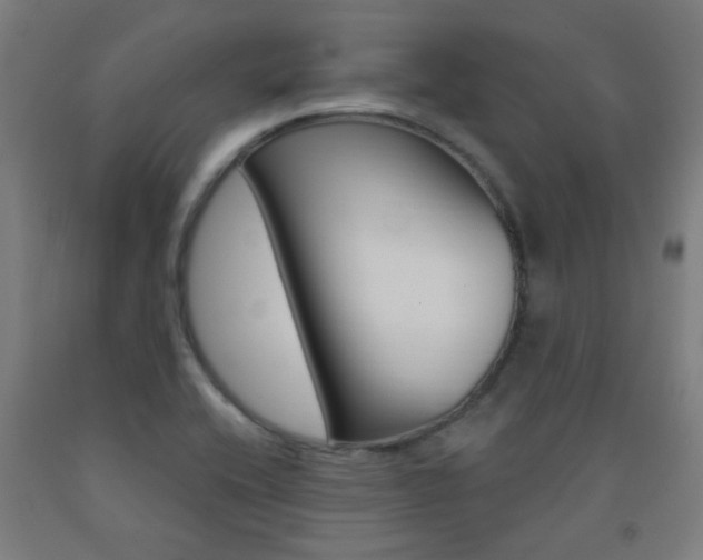 X0000093141416200709261048