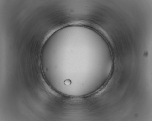 X0000093141417200709261048