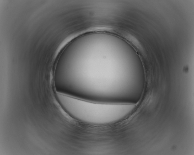 X0000093141420200709261048