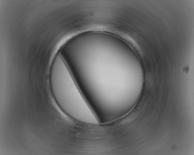 X0000093141424200709261048