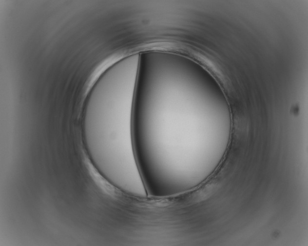 X0000093141426200709261048